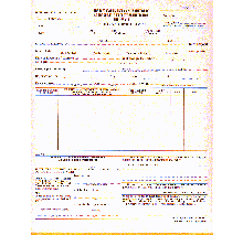 9-1/2 x 11" 5 Part Continuous Transportation Entry  