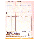 9-1/2 x 11" 5 Part Continuous Entry Summary w/ Permit 