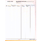 9-1/2 x 11" 5 Part Continuous Entry Summary Continuation Sheet w/ Permit 