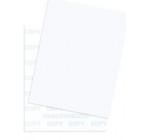 1 Sided Light Blue Security Paper, Item #04550 