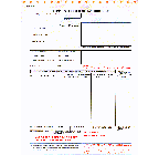 6 Part Snap Set Shipper's Letter of Instructions/Export 