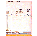 9-1/2 x 11" 5 Part Continuous Entry Summary w/ Permit 