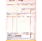 9-1/2 x 11" 6  Part Continuous Entry Summary w/ Permit 