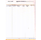 9-1/2 x 11" 5 Part Continuous Entry Summary Continuation Sheet w/ Permit 
