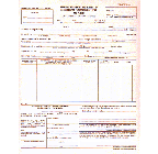 9-1/2 x 11" 6 Part Continuous Transportation Entry