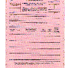 9-1/2 x 11" 6 Part Continuous Shipper's Export Declaration In-Transit Goods