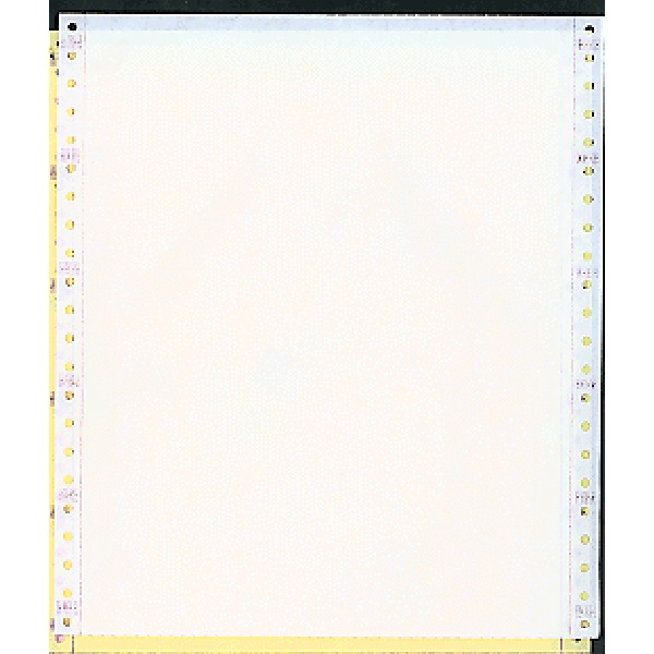 9-1/2 x 11 Computer Paper, Continuous Paper, Dot Matrix Paper, Pin-Feed  Paper, Fan Folded Paper